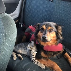 Meet your Posher, Jordan